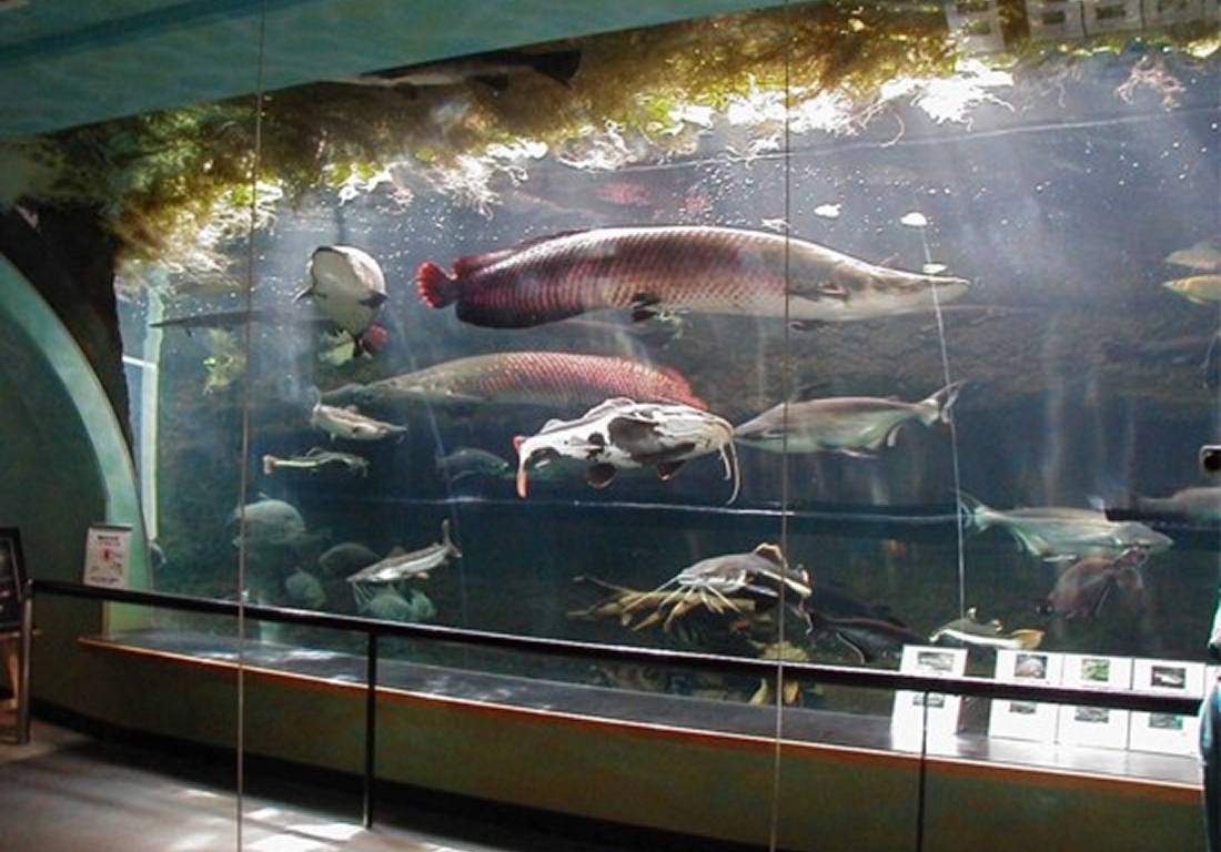 虹の森公園 おさかな館